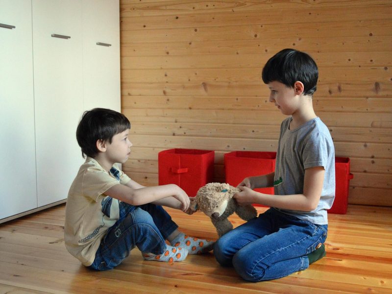 Dua anak laki-laki sedang bermain sambil memegang boneka teddy bear di lantai kayu.