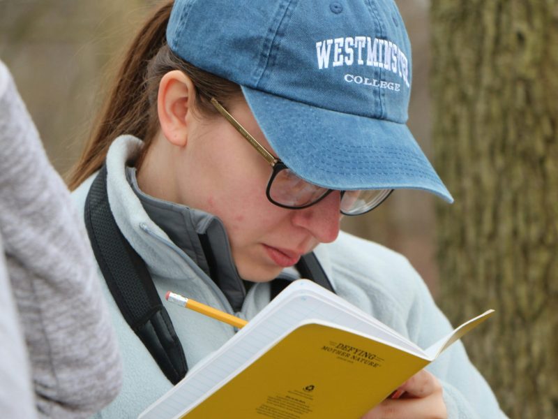 Mahasiswa Westminster College Mencatat Seorang wanita dengan topi biru bertuliskan "Westminster College" sedang melihat ke bawah ke sebuah buku kuning. Ia memegang pensil dan tampak sedang mencatat.