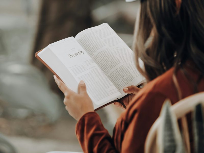 Seorang wanita berambut cokelat panjang duduk di kursi sambil membaca Kitab Amsal. Tangannya memegang buku itu agar terbuka, dan dia melihat ke bawah ke halaman-halamannya. Buku itu terbuka ke bagian tentang Amsal, dan kata-kata "Amsal" terlihat jelas di halaman itu. Wanita itu mengenakan kemeja merah tua berlengan panjang. Latar belakangnya kabur, tetapi tampak seperti dinding berwarna terang.