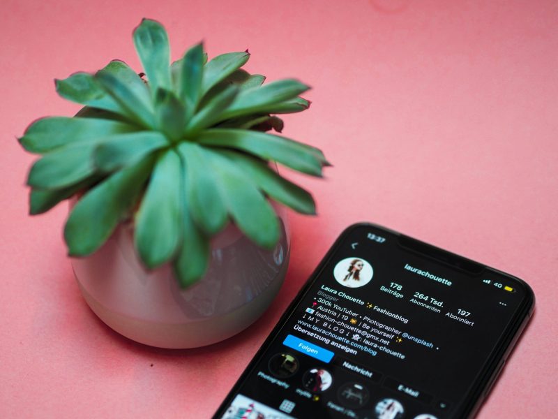 Desain Estetik Instagram dengan Tanaman Hias Ponsel dengan aplikasi Instagram dan tanaman hias di latar belakang merah muda.