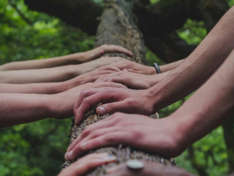 Tangan beragam memegang batang pohon di hutan yang rimbun.