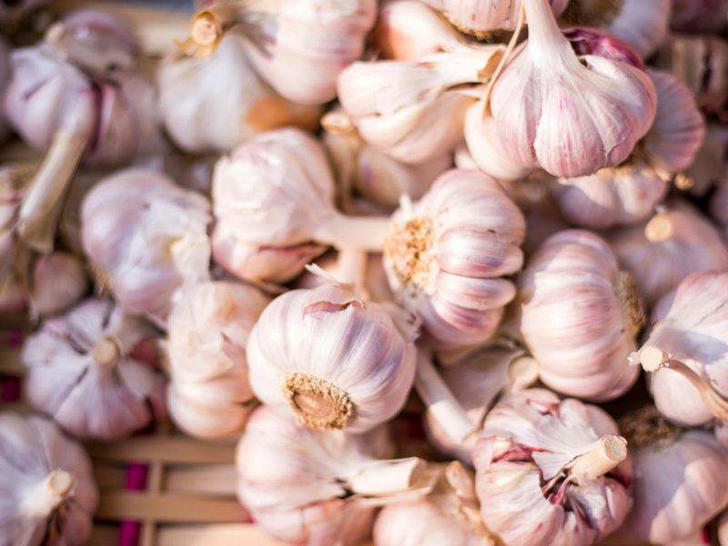 Berkumpulnya umbi bawang putih segar di atas keranjang.